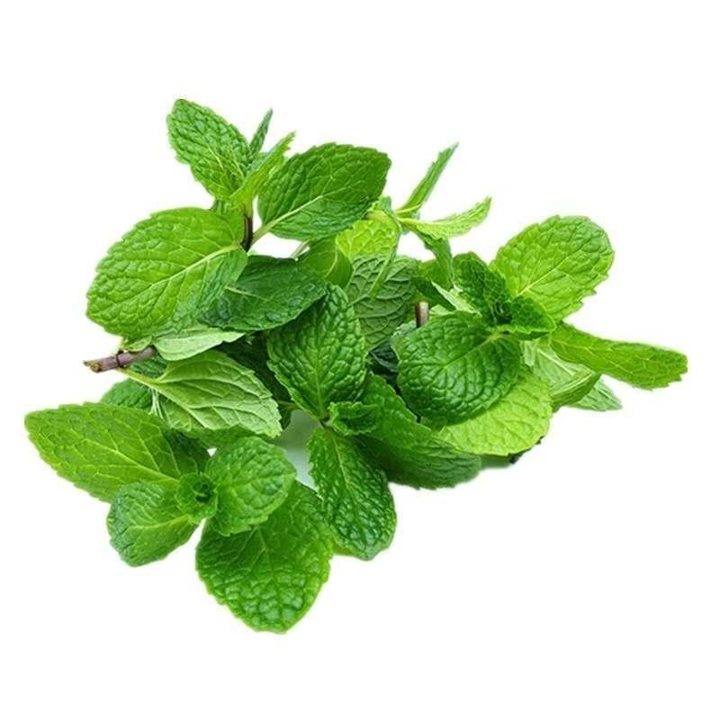 薄荷