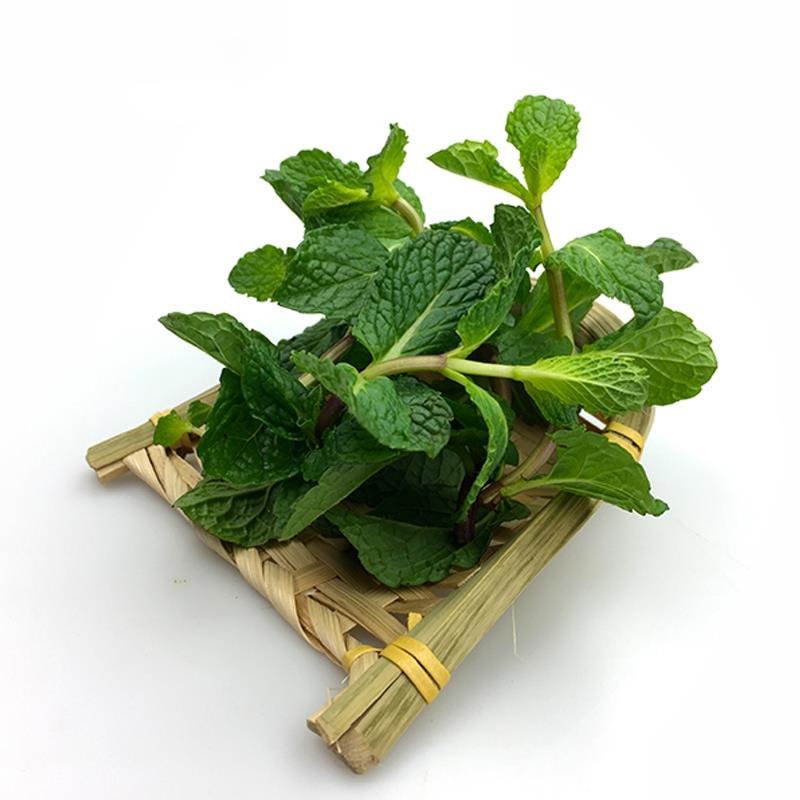 薄荷