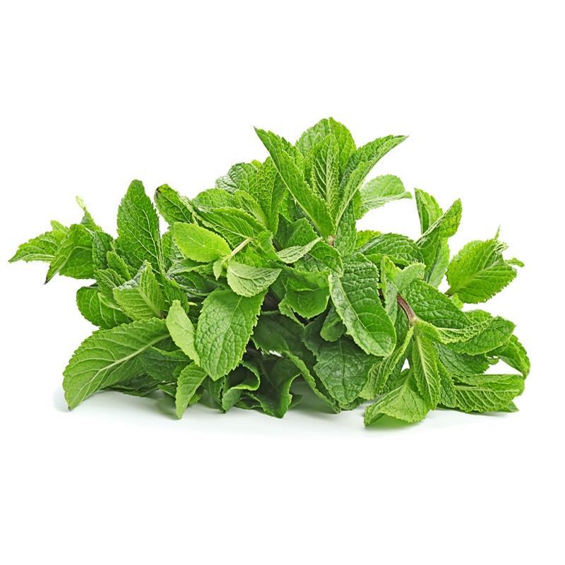 薄荷