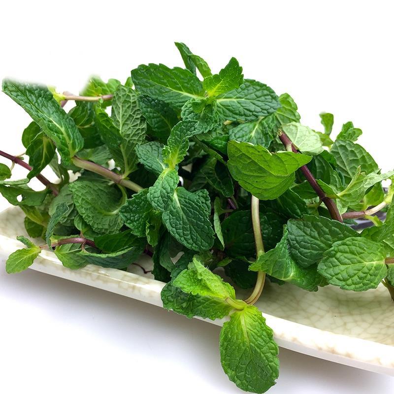 薄荷