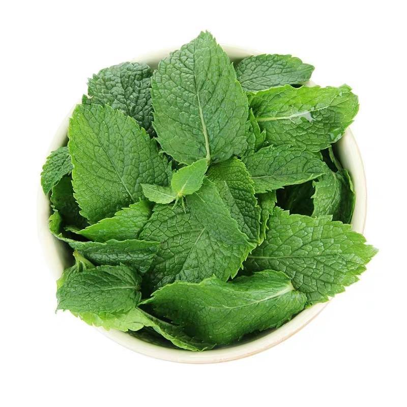 薄荷