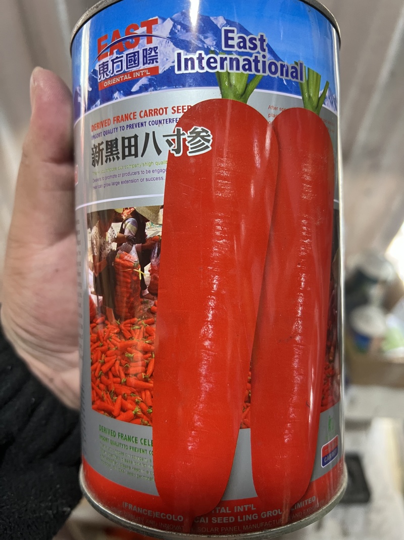胡萝卜种子，八寸参胡萝卜种子，蔬菜种子