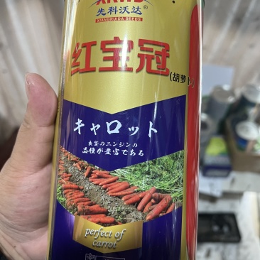 胡萝卜种子，红宝冠胡萝卜种子诚信经营，客户至上！