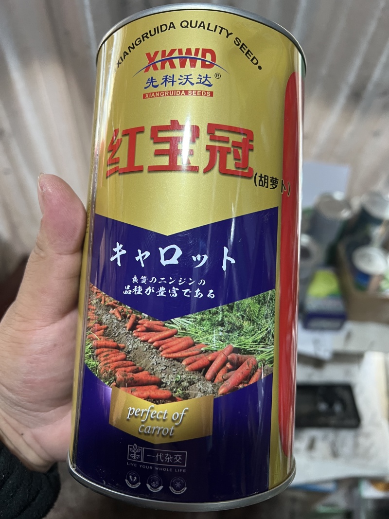 胡萝卜种子，红宝冠胡萝卜种子诚信经营，客户至上！