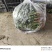 精品香菜，口感丰富营养健康，价格美丽，欢迎咨询订购