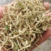 金银花自然亮晒，无药惨溜，价格优惠，保质保量，诚信经营