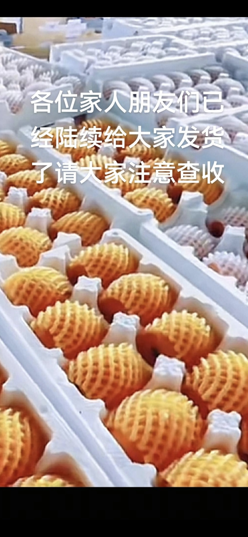 四川汉源枇杷