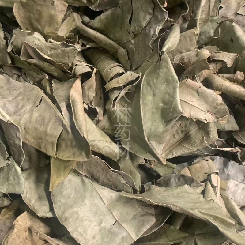 柚子叶【包邮】三斤起发货可批量可零售量大从优