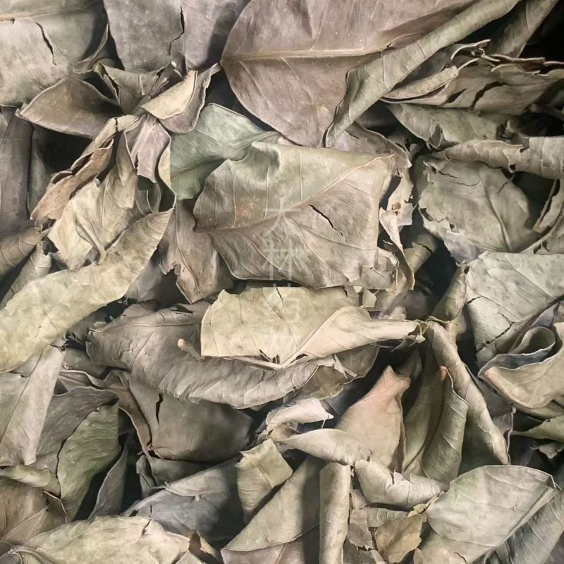 柚子叶【包邮】三斤起发货可批量可零售量大从优