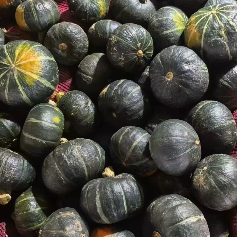 《贝贝南瓜》陕西贝贝/价格优惠/电商直播，市场批发