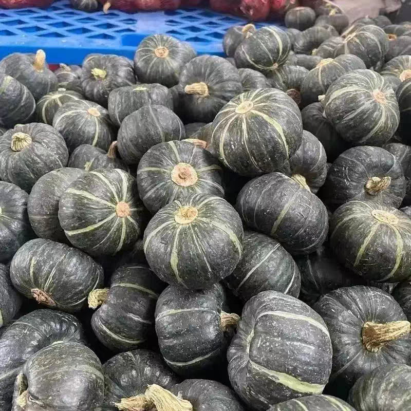 《贝贝南瓜》陕西贝贝/价格优惠/电商直播，市场批发