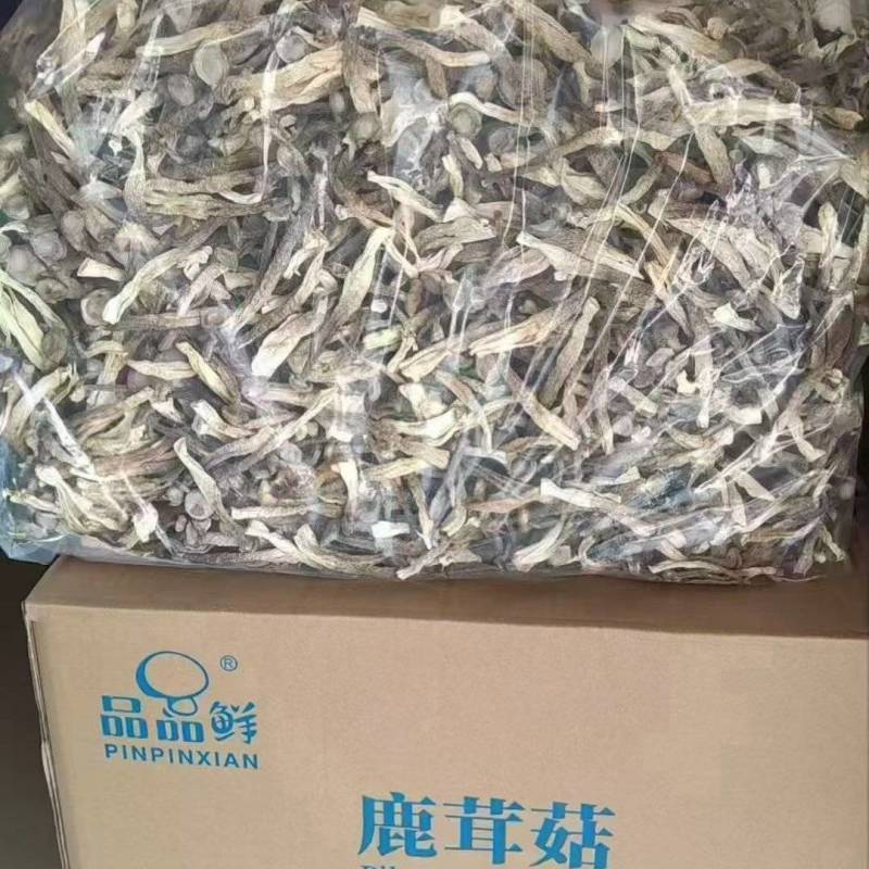 干鹿茸菇