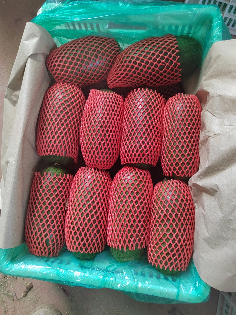 青皮冬瓜2斤以上吊冬瓜