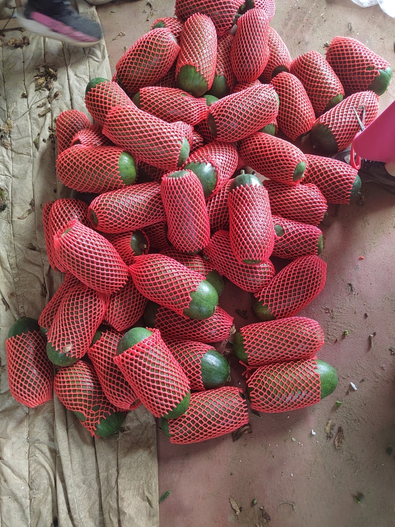 青皮冬瓜2斤以上吊冬瓜