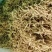 金银花自然亮晒，无药惨溜，价格优惠，保质保量，诚信经营