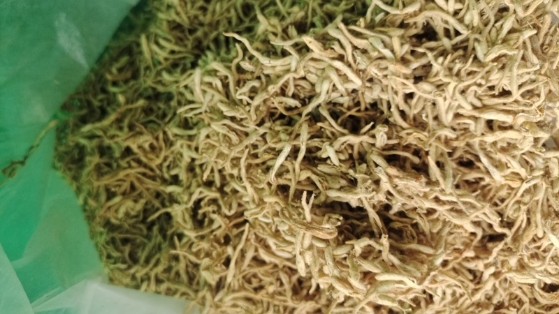 金银花自然亮晒，无药惨溜，价格优惠，保质保量，诚信经营