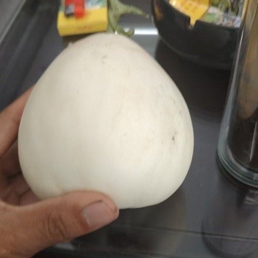 陕西精品甜瓜小白瓜，口感脆甜，产地直供！