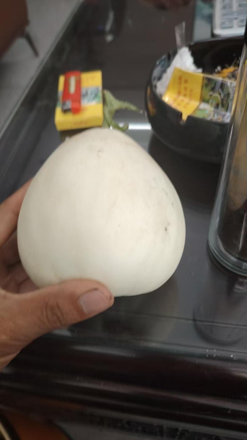 陕西精品甜瓜小白瓜，口感脆甜，产地直供！
