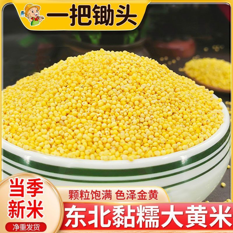 5斤大黄米粘米大黄粘米黍米粘糯大黄米包粽子煮粥批发