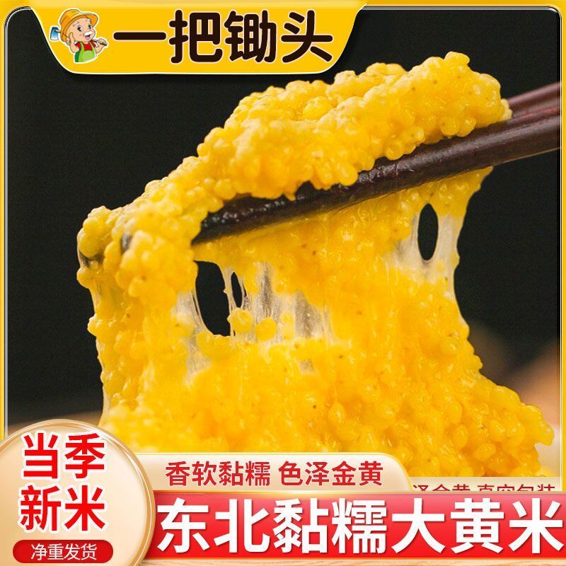 5斤大黄米粘米大黄粘米黍米粘糯大黄米包粽子煮粥批发