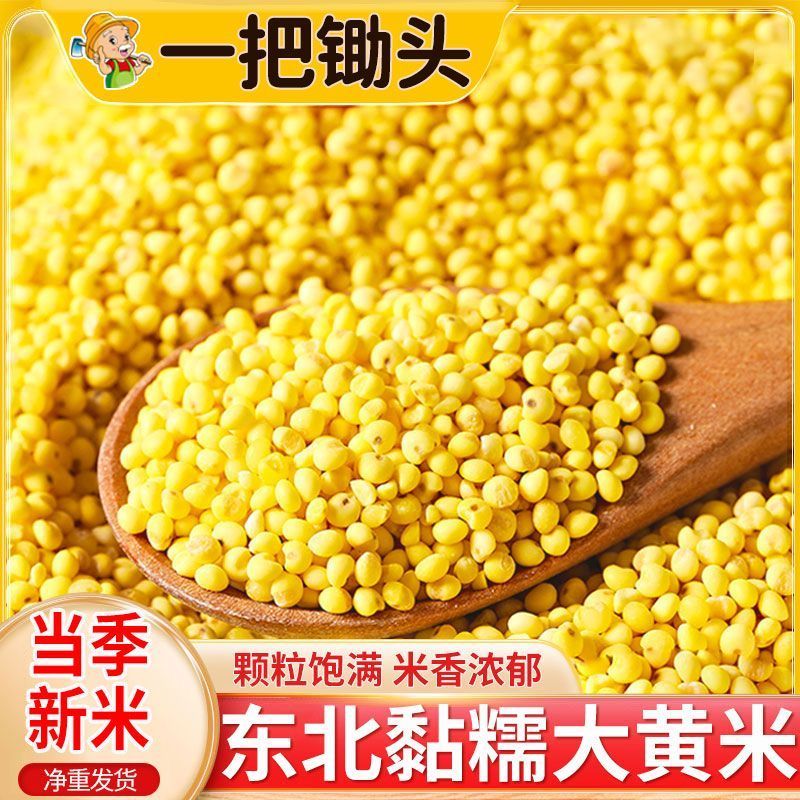 5斤大黄米粘米大黄粘米黍米粘糯大黄米包粽子煮粥批发