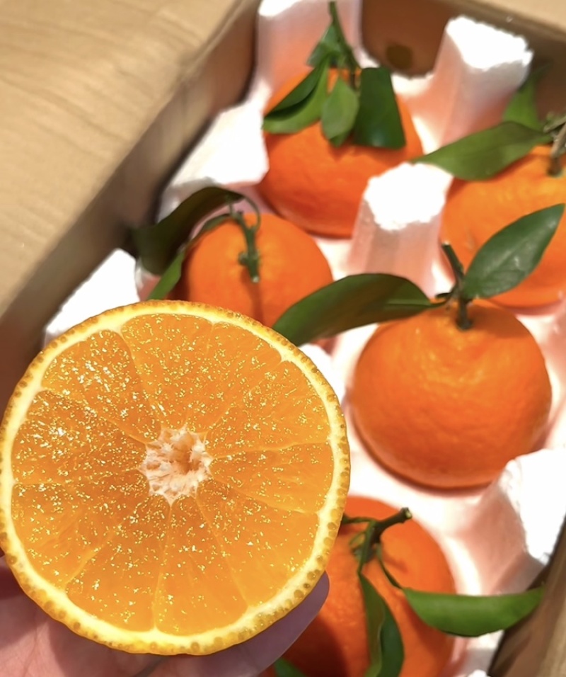 爱媛果冻橙🍊爱媛38号产地直发品质保障汁多味美对接全国