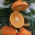 爱媛果冻橙🍊爱媛38号产地直发品质保障汁多味美对接全国