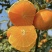 爱媛果冻橙🍊爱媛38号产地直发品质保障汁多味美对接全国