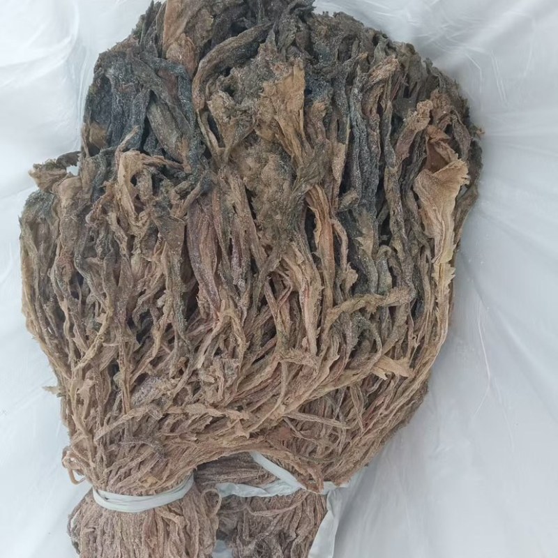 整棵梅干菜雪里蕻现货供应保质保量厂家发货