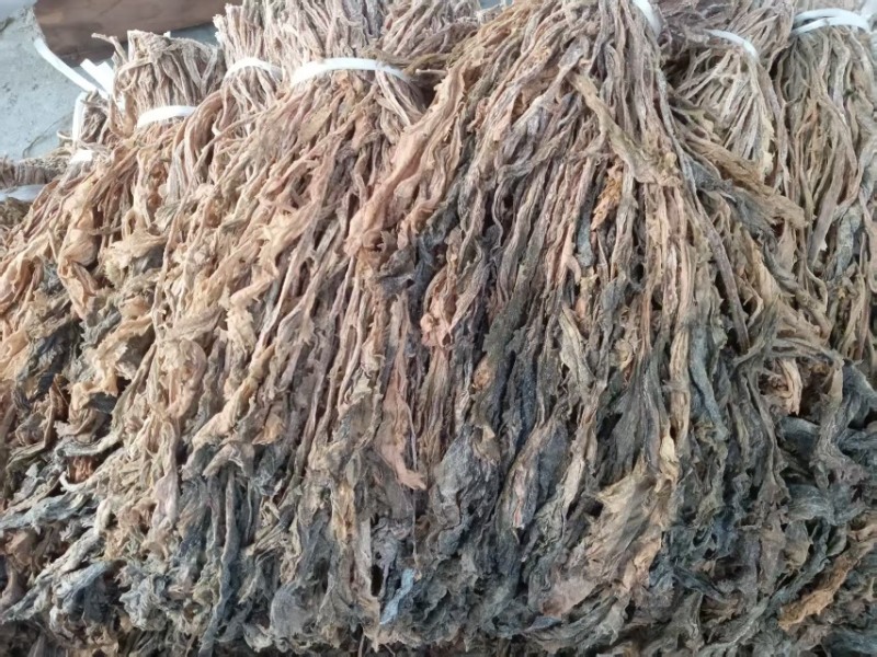 整棵梅干菜雪里蕻现货供应保质保量厂家发货