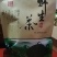 高山（海泼在800米左右）野生绿茶，手工制作，现货不多。