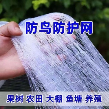 防鸟网樱桃葡萄梨树草莓大棚果树果园尼龙防鸟网鱼塘泥鳅