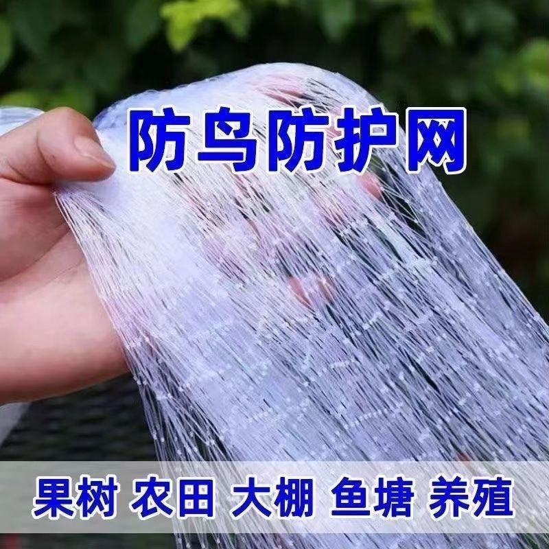 防鸟网樱桃葡萄梨树草莓大棚果树果园尼龙防鸟网鱼塘泥鳅