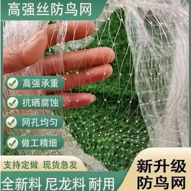 防鸟网樱桃葡萄梨树草莓大棚果树果园尼龙防鸟网鱼塘泥鳅