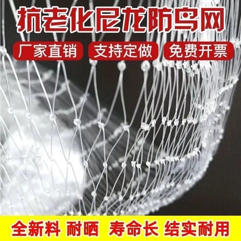 防鸟网樱桃葡萄梨树草莓大棚果树果园尼龙防鸟网鱼塘泥鳅