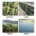 防鸟网樱桃葡萄梨树草莓大棚果树果园尼龙防鸟网鱼塘泥鳅