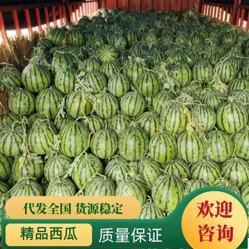 [实力商家]美都西瓜大量上市，万亩基地，质量保证欢迎订购