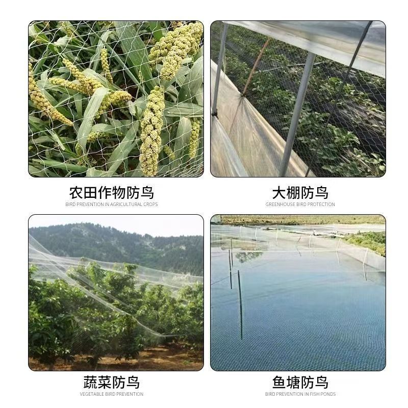 防鸟网果树果园养殖鱼塘防护隔离农用葡萄稻谷网麻雀