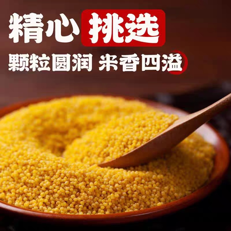 山东黄小米，质量好价格便宜，量大优惠，诚信经营