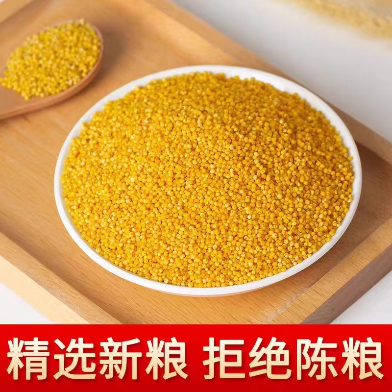 山东黄小米，质量好价格便宜，量大优惠，诚信经营