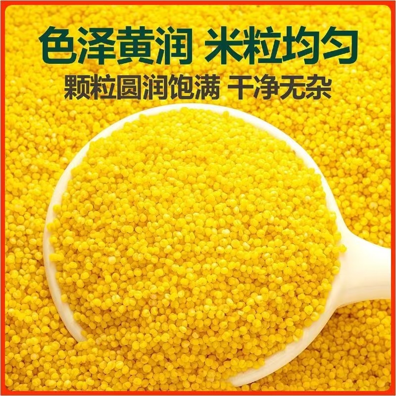 山东黄小米，质量好价格便宜，量大优惠，诚信经营