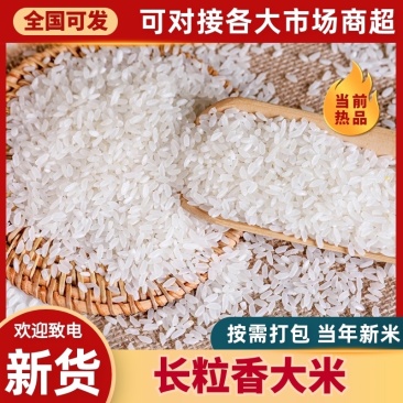 正宗五常长粒香千响地一级中科发五优质香米10斤/袋包邮