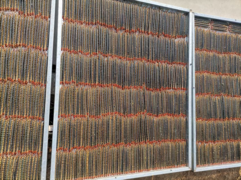 精品蜈蚣皮，蝎子