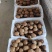 冷库徐香猕猴桃，70克起步，大到140-150克，产地货