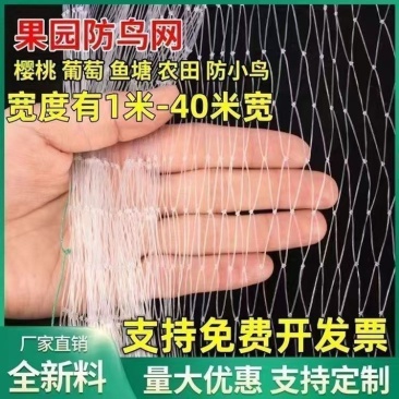 防鸟网新料大棚通风口果园防鸟网鱼塘养鸡果园葡萄樱桃