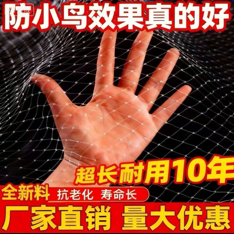 防鸟网新料大棚通风口果园防鸟网鱼塘养鸡果园葡萄樱桃