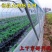 防鸟网新料大棚通风口果园防鸟网鱼塘养鸡果园葡萄樱桃