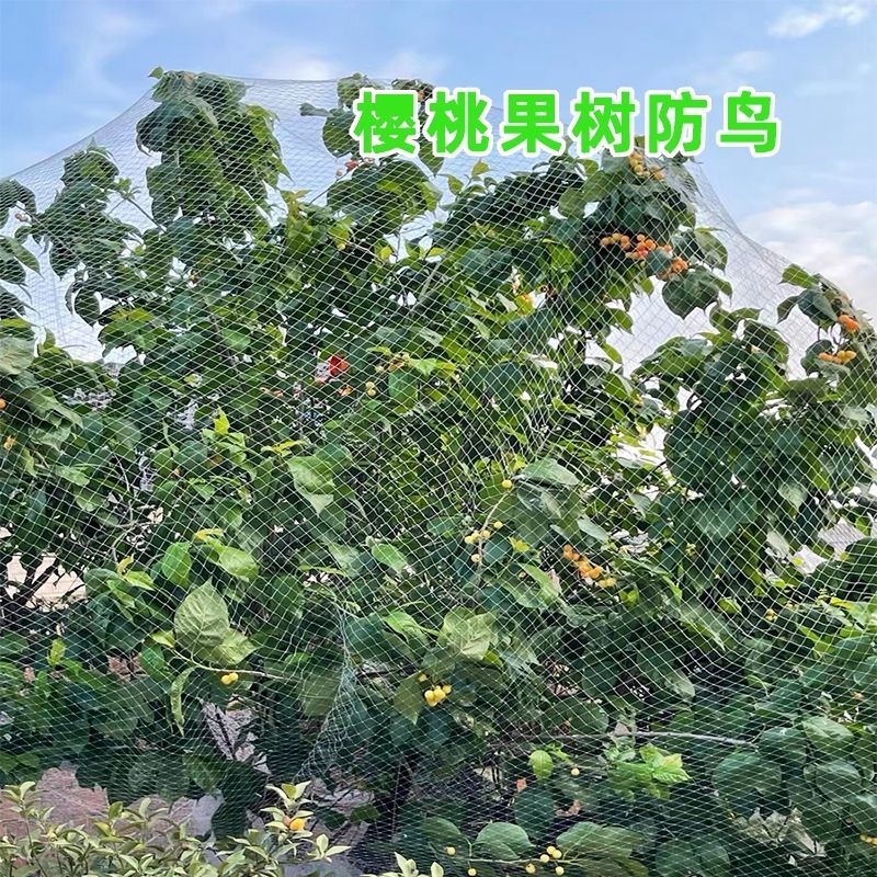 防鸟网新料大棚通风口果园防鸟网鱼塘养鸡果园葡萄樱桃