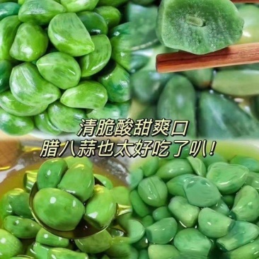腊八蒜250g，一件代发，量大优惠，全国发货