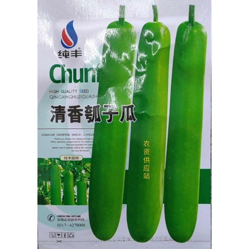 纯丰清香瓠子瓜早生长瓠瓜种子瓠子蒲瓜油亮长棒型蔬菜